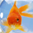 ׿Խ��